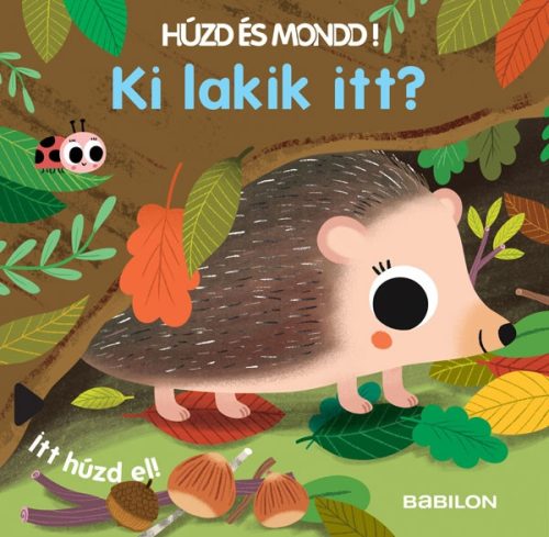 Ki lakik itt? - Húzd és mondd! (Sonja Baretti)
