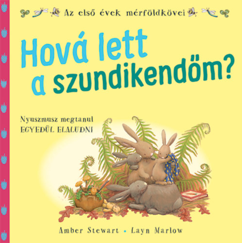 Az első évek mérföldkövei - Hová lett a szundikendőm?