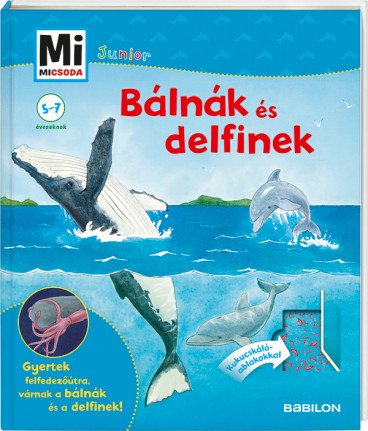 Mi MICSODA Junior – Bálnák és delfinek 