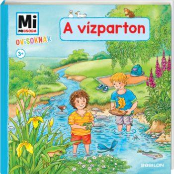 Mi MICSODA Ovisoknak – A vízparton 