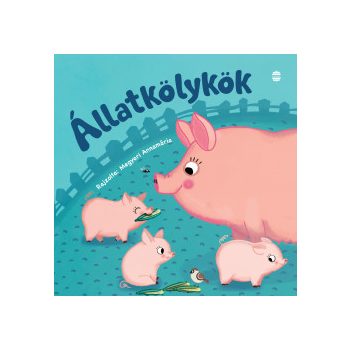 Állatkölykök 