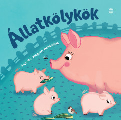 Állatkölykök 