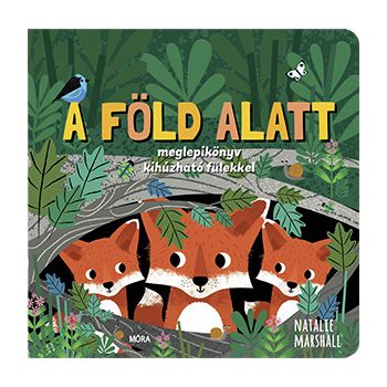 A föld alatt - Meglepikönyv kihúzható fülekkel