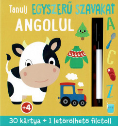 Tanulj egyszerű szavakat angolul - 30 kártya + 1 letörölhető filctoll	