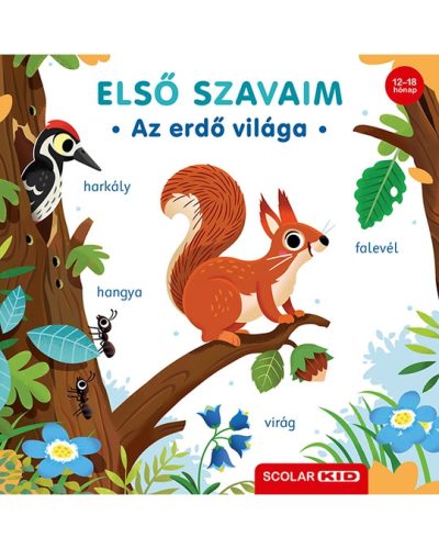  Első szavaim – Az erdő világa