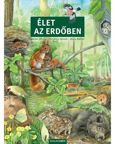 Élet az erdőben